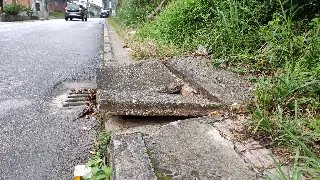 (VÍDEO) Mato toma conta de trecho na Rua Nova Trento - 6