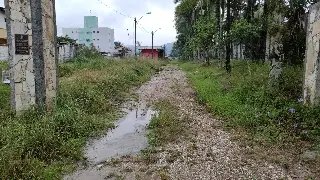 (VÍDEO) Terreno da Prefeitura está em estado total de abandono - 3