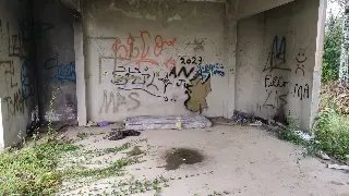 (VÍDEO) Terreno da Prefeitura está em estado total de abandono - 10