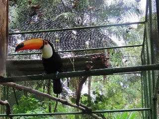 Zoobotânico de Brusque destaca a importância do abril laranja   - 3