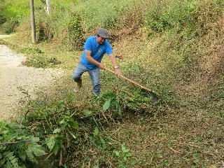 Trabalhos de limpeza no município são intensificados - 8