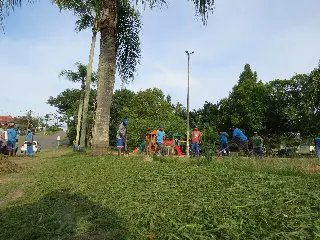 Trabalhos de limpeza no município são intensificados - 3