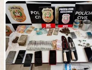 Plantação de maconha é encontrada em terreno na frente de escola - 1