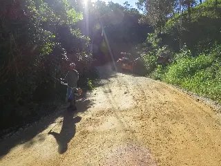 Novo equipamento traz mais agilidade aos trabalhos de roçada - 3