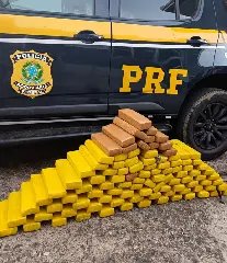 Polícia encontra droga em carro que iria para região de Itajaí - 1