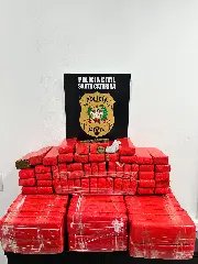 Homem é preso com mais de 91 quilos de maconha  - 1