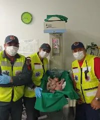 Gêmeos apressadinhos nascem dentro de ambulância em Guabiruba - 1
