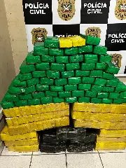 Polícia apreende meia tonelada de maconha  - 2