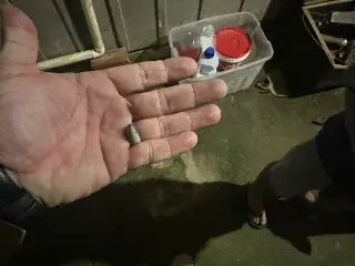 Conflito por conta de som alto termina com cão baleado - 3