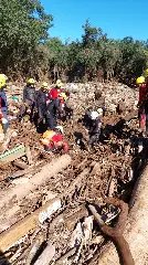 (VÍDEO) Cão de busca do CBMSC encontra corpo em meio a destroços no RS - 6