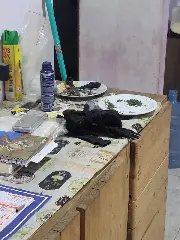 Estufa com 44 pés de maconha é encontrada em residência  - 3