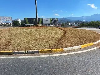 Imagens mostram canteiro danificado após carro fazer 'cavalinho de pau' - 1