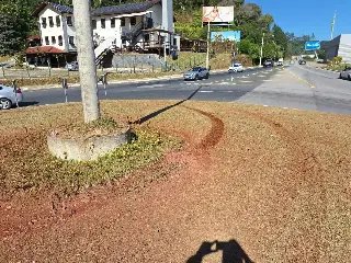 Imagens mostram canteiro danificado após carro fazer 'cavalinho de pau' - 2