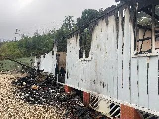 (VÍDEO) Incêndio queimou tudo e gato está desaparecido - 7