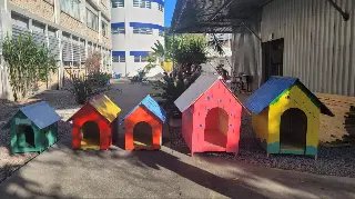 Estudantes da UNIFEBE constroem abrigos para PET e doam para ONGS  - 1
