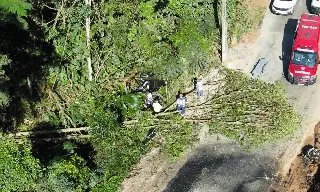 (VÍDEO) Motorista bate contra poste e motor é arrancado do veículo - 1