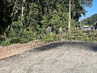(VÍDEO) Motorista bate contra poste e motor é arrancado do veículo - 3