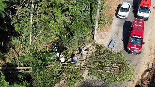 (VÍDEO) Motorista bate contra poste e motor é arrancado do veículo - 4
