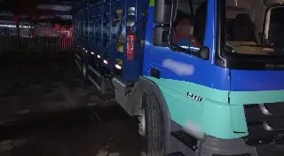 Pedestres são atropelados por caminhão em São João Batista - 1