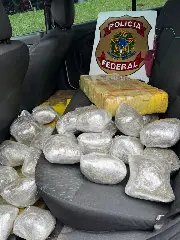 Polícia Federal apreende 156 kg de maconha que viria para Brusque  - 1