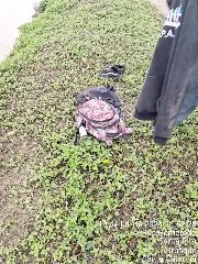 Homem tenta atravessar rio nadando e desaparece em Brusque - 3