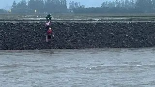 Carro cai no rio e motorista fica ilhado sob veículo - 1