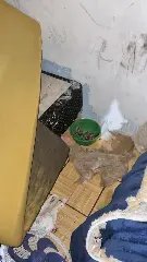 Crianças abandonadas são encontradas em condições insalubres  - 3