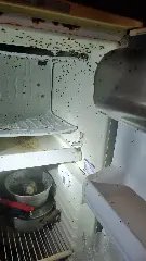 Crianças abandonadas são encontradas em condições insalubres  - 1