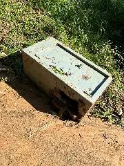(VÍDEO) Polícia prende suspeito de furto e recupera parte do dinheiro subtraído no crime - 3