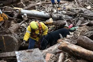 Bombeiros de SC finalizam operação no Rio Grande do Sul - 2