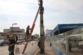 Procon faz Operação Limpa Postes e remove 400 kg de fios - 3