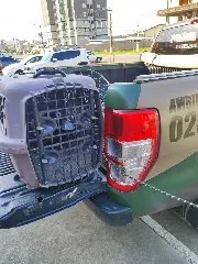 Bombeiros são acionados para resgatar tamanduá-mirim - 2