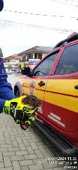 Preá é resgatado pelos bombeiros dentro de farmácia - 1