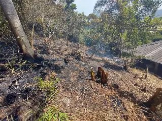 Corpo de Bombeiros orienta sobre como prevenir incêndios florestais - 3
