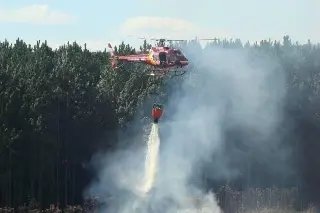 Corpo de Bombeiros orienta sobre como prevenir incêndios florestais - 1