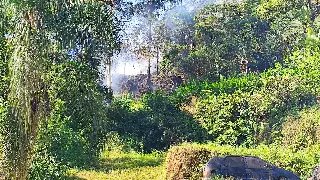 (VIDEO) Bombeiros são acionados para incêndio em vegetação em Brusque - 5