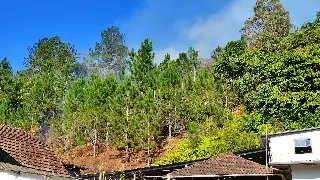 (VIDEO) Bombeiros são acionados para incêndio em vegetação em Brusque - 10