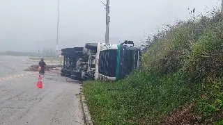 Motorista diz aos bombeiros que desviou de capivara antes de carreta tombar - 2