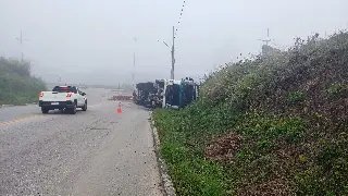 Motorista diz aos bombeiros que desviou de capivara antes de carreta tombar - 4