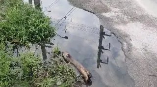 Secretário diz que problemas em via do Rio Branco já estão mapeados - 5
