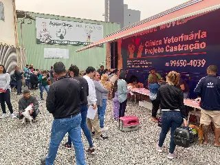 Mutirão castrou mais de 200 animais gratuitamente no sábado - 1