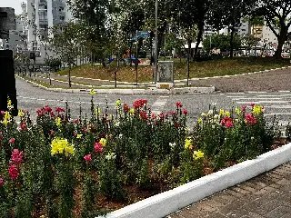 Chegada da primavera traz novas cores às ruas de Brusque - 4