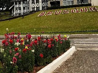 Chegada da primavera traz novas cores às ruas de Brusque - 1