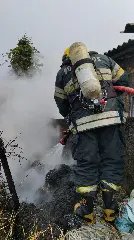 Galpão de enfeites de natal quase é atingido por incêndio em vegetação - 4