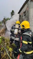 Galpão de enfeites de natal quase é atingido por incêndio em vegetação - 3