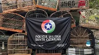 Aves silvestres são resgatadas de cativeiro em Brusque - 2