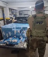 Polícia apreende carga de 26 mil maços de cigarros paraguaios em SC - 1