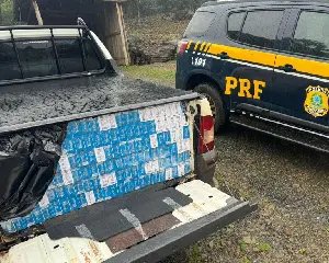 Polícia apreende carga de 26 mil maços de cigarros paraguaios em SC - 2