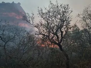 Bombeiros catarinenses salvam brigadistas em meio a incêndios no MT - 4
