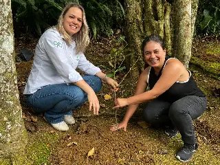 Trilha no Parque Zoobotânico recebe 42 novas árvores - 3